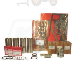 Set raparatii, piston/bucsa cursa cilindru VAPORMATIC - VPB9093