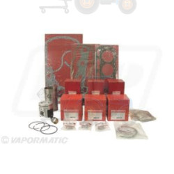 Set raparatii, piston/bucsa cursa cilindru VAPORMATIC - VPB9099