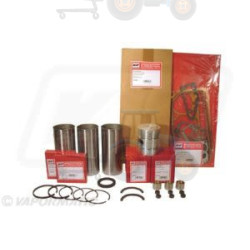 Set raparatii, piston/bucsa cursa cilindru VAPORMATIC - VPB9451