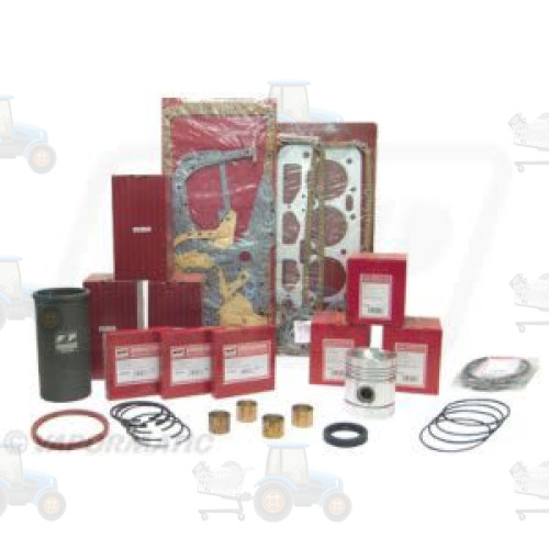 Set raparatii, piston/bucsa cursa cilindru VAPORMATIC - VPB9550