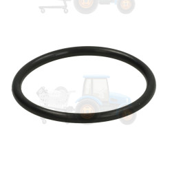 Set reparatie, diferential DANA SPICER - 001.05.0669