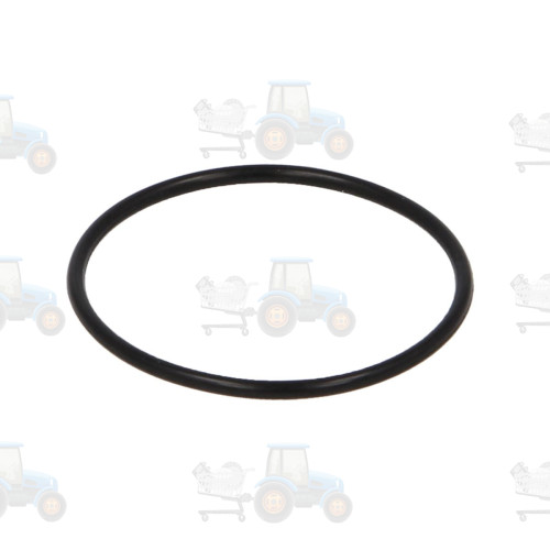 Set reparatie, diferential DANA SPICER - 001.05.1494