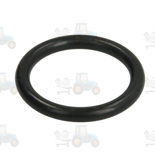 Set reparatie, diferential CARRARO - 28118