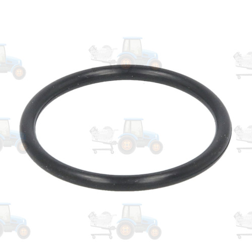 Set reparatie, diferential CARRARO - 28171