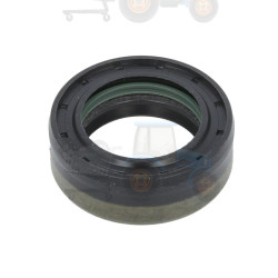 Set reparatie, diferential CARRARO - 395709