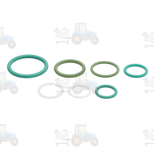 Set reparatie, diferential CARRARO - 46046