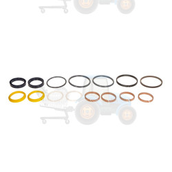 Set reparatie, diferential CARRARO - 49043