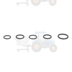 Set reparatie, diferential CARRARO - 49677