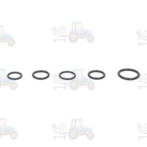 Set reparatie, diferential CARRARO - 49677