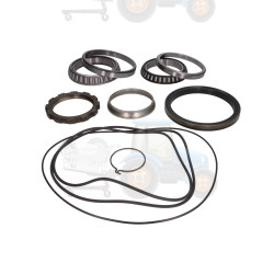 Set reparatie, diferential CARRARO - 64441