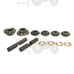 Set reparatie, diferential AGCO - 66145, 044209R1, VA066145, 66145, 37700420890, 223-4312, 3239620, 0003239620, 323962, 323962.0, 0.900.0693.4, ER066145, 554777, 231987A1, 84990256, 87760649, 37700420890, 93-1444