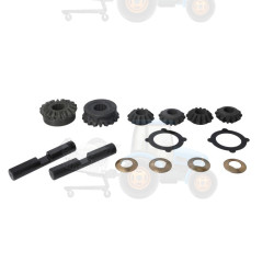 Set reparatie diferential CARRARO - 66164, VA066164, 066170, 66170, 33-742-702, 0.900.0694.8, SJ30735, 1000111748, 563715, 1-33-742-702, 231990A1, 33-742-702, 93-6024
