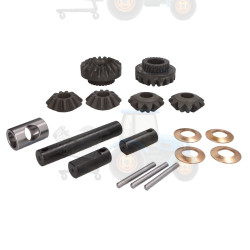 Set reparatie, diferential CARRARO - 66295