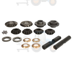 Set reparatie, diferential CARRARO - 66317