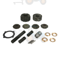 Set reparatie, diferential CARRARO - 66377