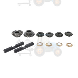 Set reparatie, diferential CARRARO - 66759