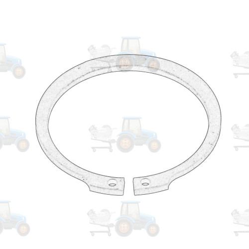 Set reparatie, diferential OE AGCO - X530216846000