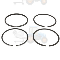 Set segmenti piston NE - 120015000600