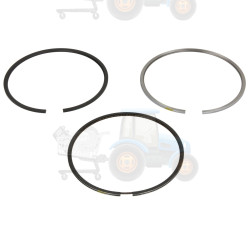 Set segmenti piston NE - 120015002700