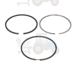 Set segmenti piston NE - 120015003700