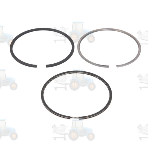 Set segmenti piston NE - 120015003700