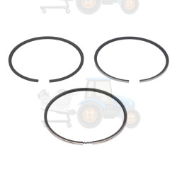 Set segmenti piston NE - 120015003800