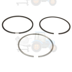 Set segmenti piston NE - 120015004800