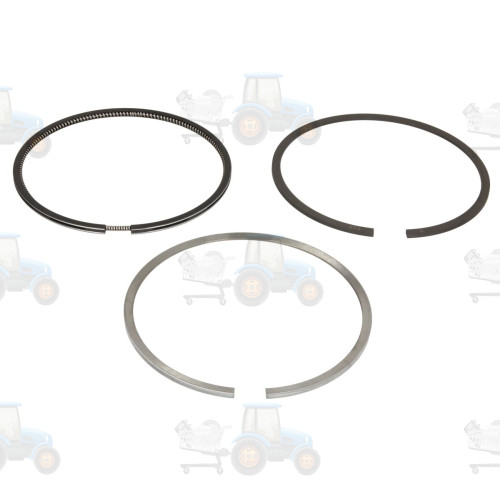 Set segmenti piston NE - 120015004800