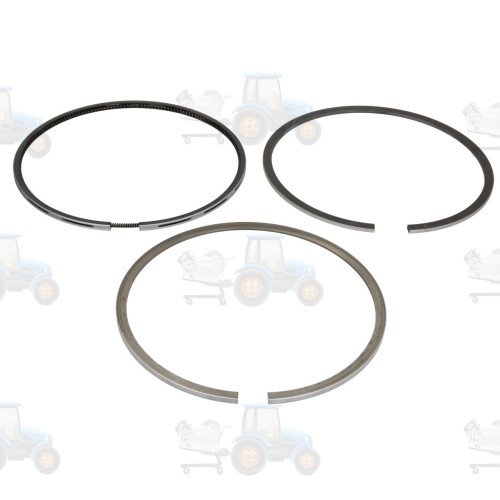 Set segmenti piston NE - 120015005500