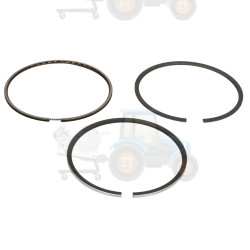 Set segmenti piston NE - 120015005800