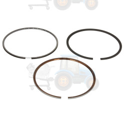 Set segmenti piston NE - 120015005900