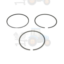 Set segmenti piston NE - 120015006100