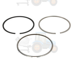 Set segmenti piston NE - 120015006300