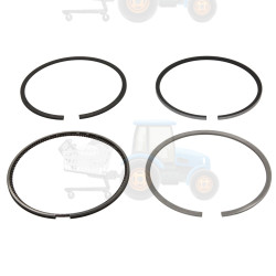 Set segmenti piston NE - 120032000600