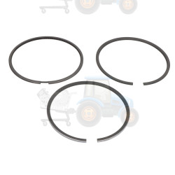 Set segmenti piston NE - 120036000100