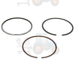 Set segmenti piston NE - 120036000300