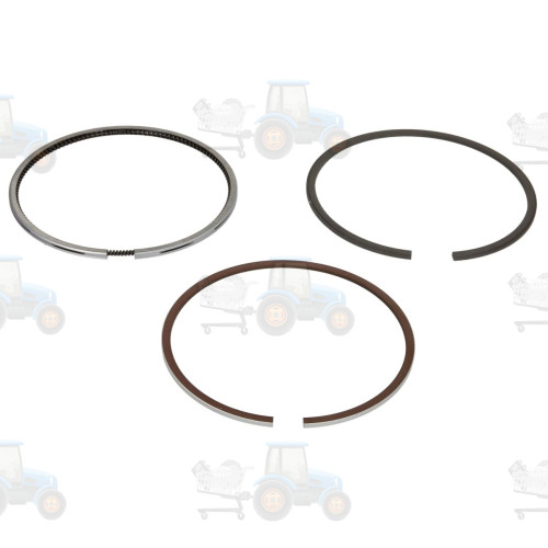 Set segmenti piston NE - 120036000300