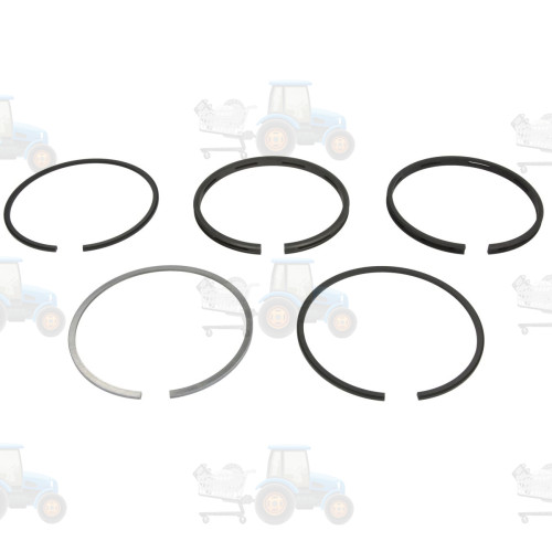 Set segmenti piston NE - 120036000700