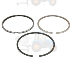 Set segmenti piston NE - 120036002200