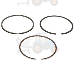 Set segmenti piston NE - 120036003100