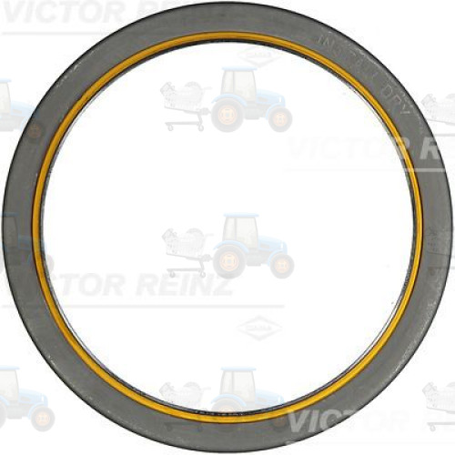 Simering, arbore cotit REINZ - 81-10166-00