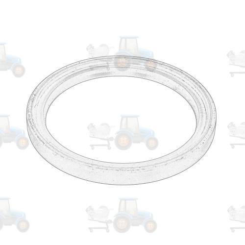 Simering, arbore cotit OE AGCO - F148200210030