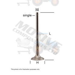 Supapa admisie MOTIVE - IV4484