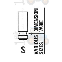 Supapa evacuare FRECCIA - R6481/R