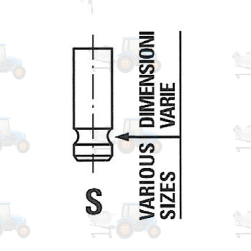 Supapa evacuare FRECCIA - R6481/R